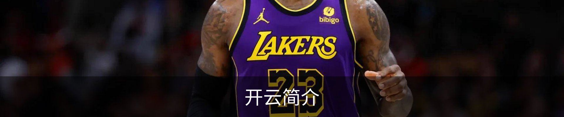 开云简介